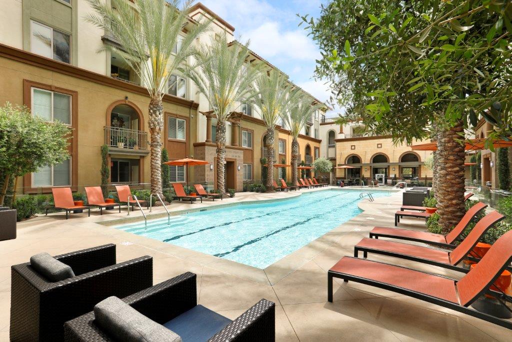 Swimming pool with lounge chairs and trees at Aria. Swimming pool surrounded by lounge chairs and trees